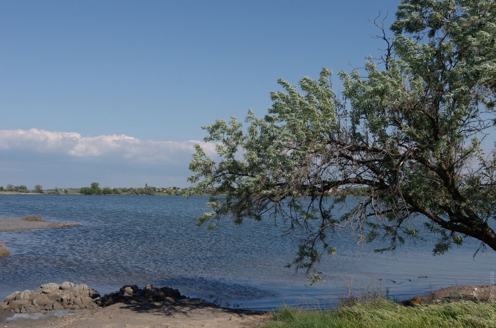 Сакское озеро в Крыму - фото 1