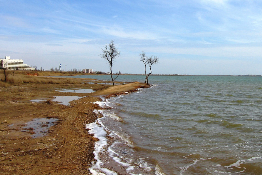 Сакское озеро в Крыму - фото 4